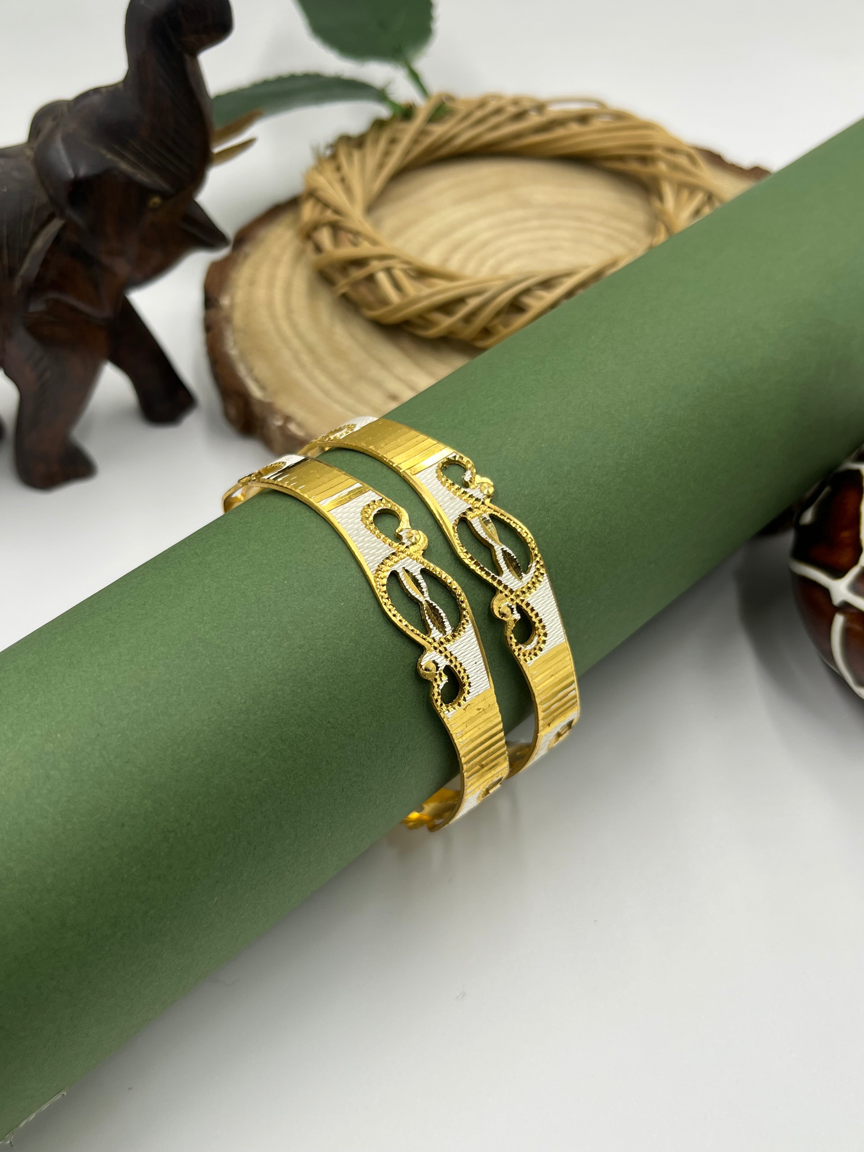 Anvika Bangle Set (2 Pieces)